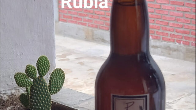 488181513_1228969872564609_4248673573816647000_n