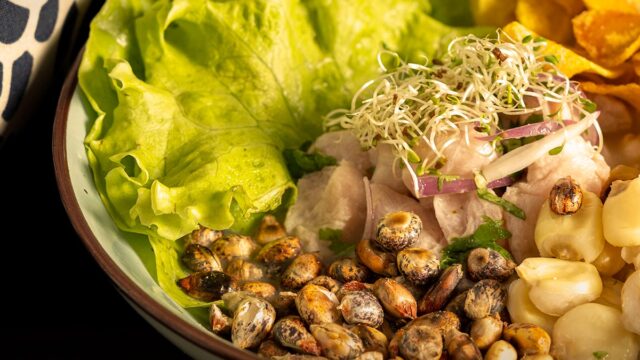 488712643_1007161278075904_3355751807484509475_n