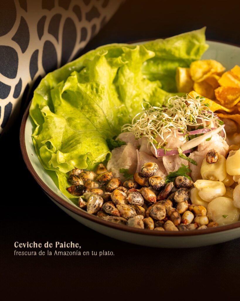 488712643_1007161278075904_3355751807484509475_n