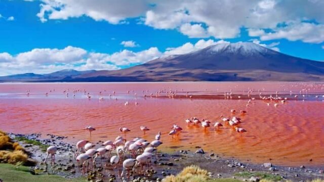 490173964_1252377193559172_1387156779997312469_n