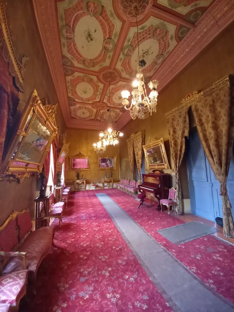 492546818_122201987426150245_1820245481660432374_n