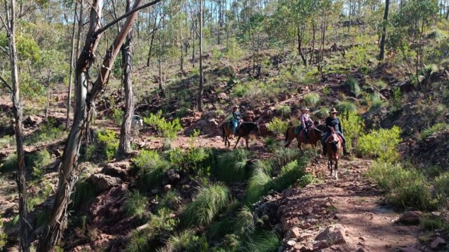 492800017_1089108326585174_6004112814919114666_n