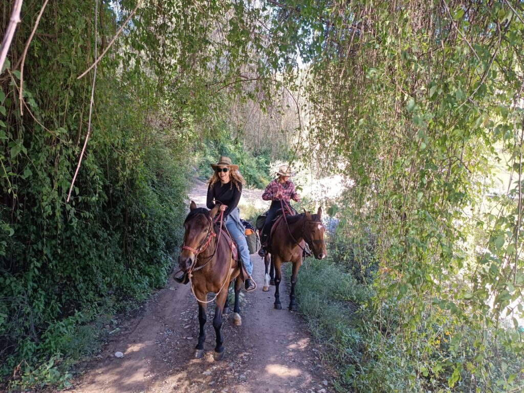 493231971_1089108186585188_572690583356319278_n