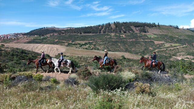 493275507_1089108249918515_2729773570679517443_n