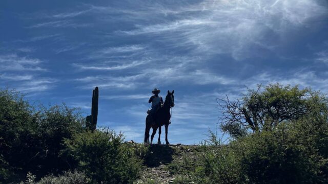 493699673_1089106839918656_2498792563303292841_n