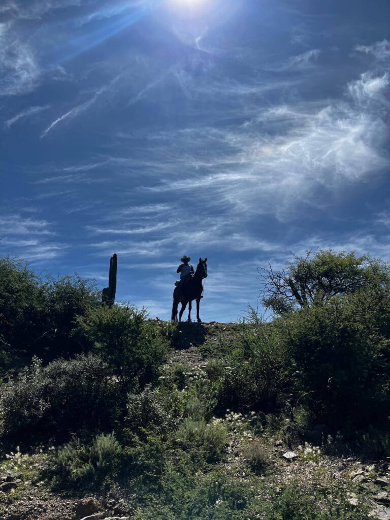 493699673_1089106839918656_2498792563303292841_n