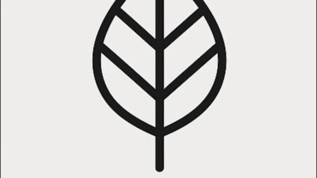 495329810_122223393614174099_7078444437879839015_n