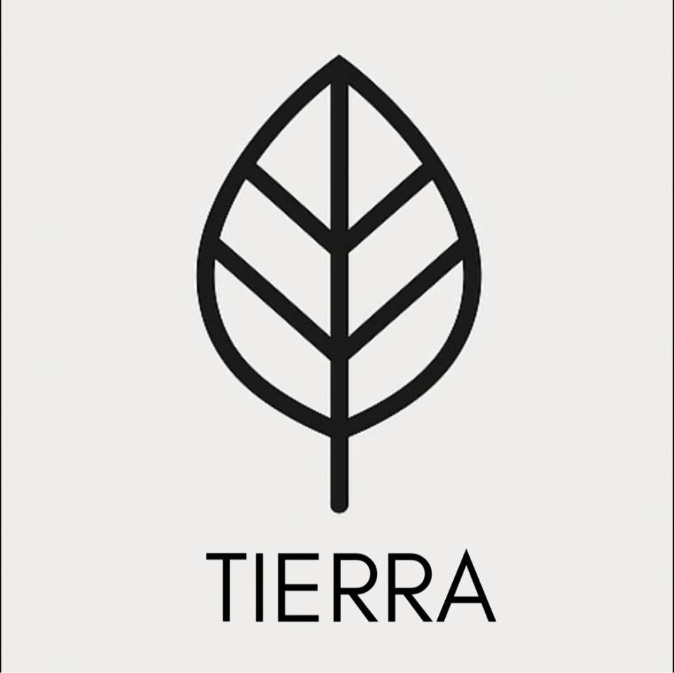 495329810_122223393614174099_7078444437879839015_n