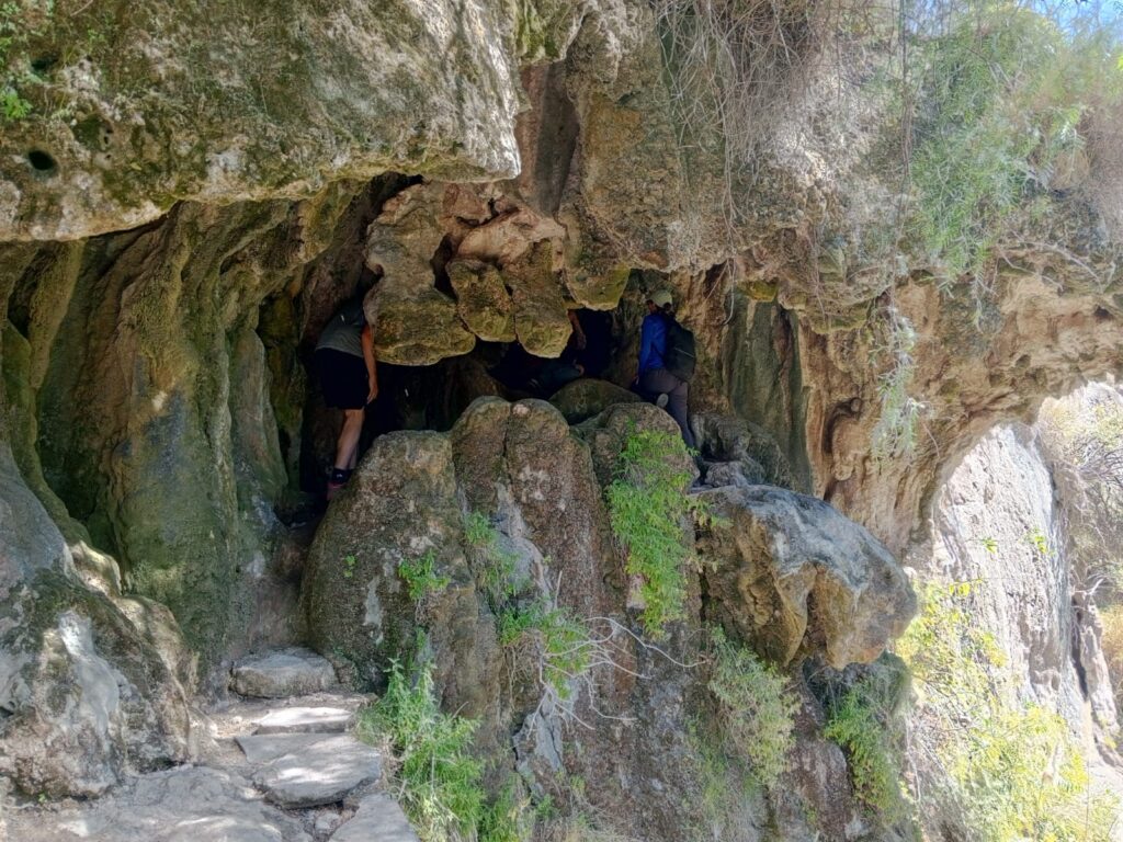 495993605_1279414900855401_8237233053631414101_n