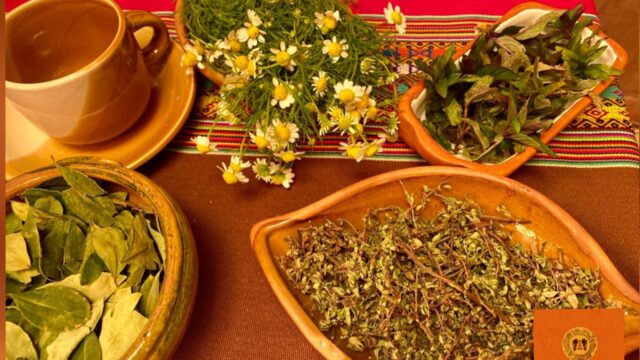 496157859_10160771839151650_1309144810434326873_n