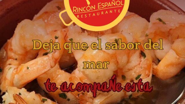 498557910_1272603481536769_1663039897974212889_n