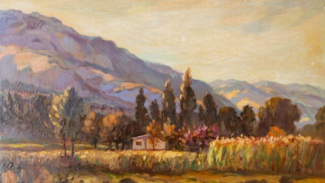 502629283_1152385766920712_6535849892237136273_n