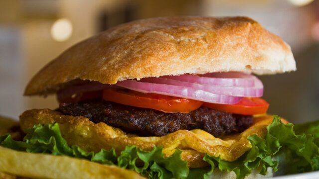 509364817_9835536573239897_3822994805446575080_n