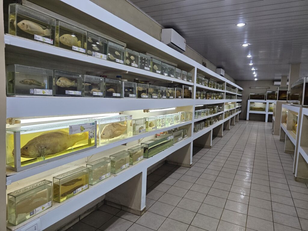 516515550_714933011329064_516261276415674514_n