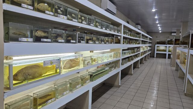 516515550_714933011329064_516261276415674514_n