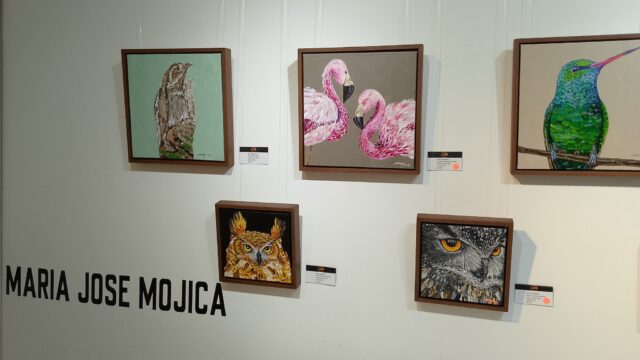 516716705_1388876886329398_8324044349344003229_n