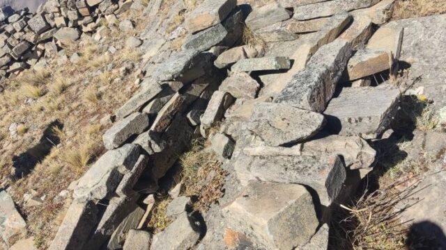 520839914_1137229558433492_744466863322330883_n