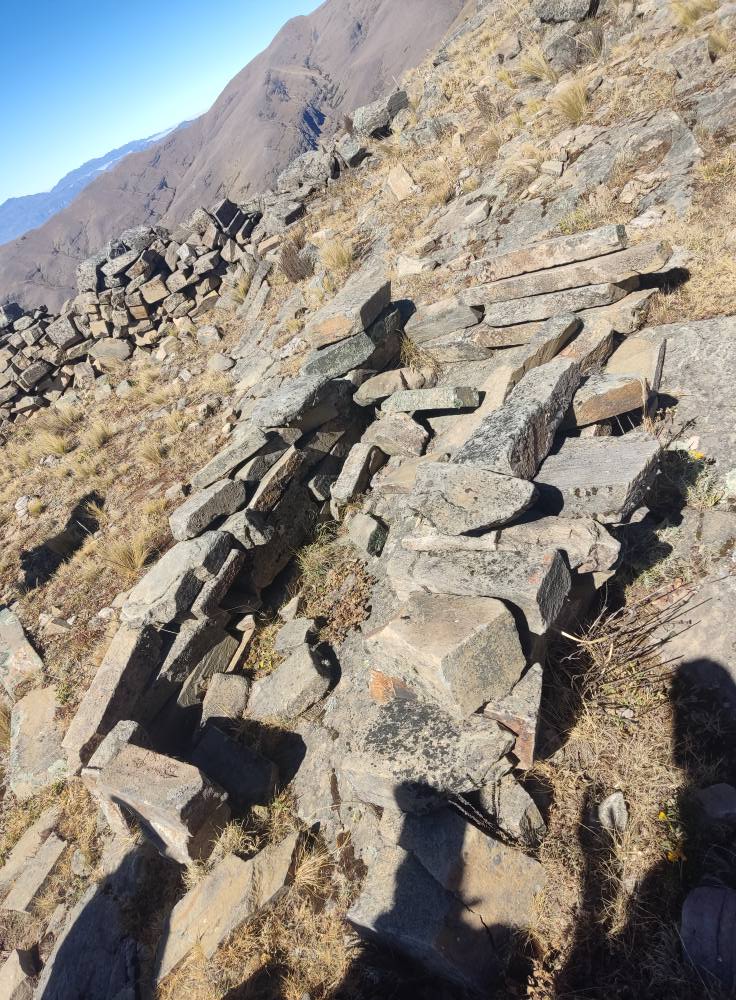 520839914_1137229558433492_744466863322330883_n