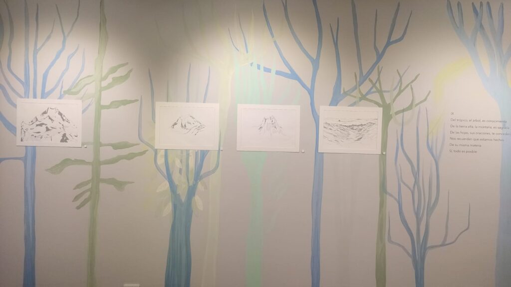 527987195_1184485273723050_1672858852657539589_n