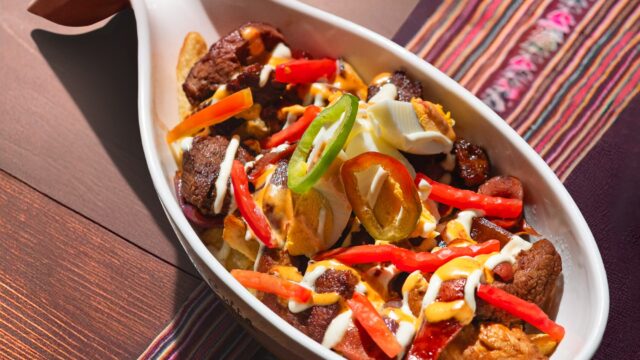 528685455_1224095959734188_2017375530475316883_n