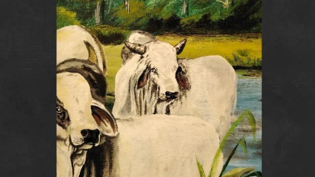 532236953_18034716323691948_4210841018351026716_n