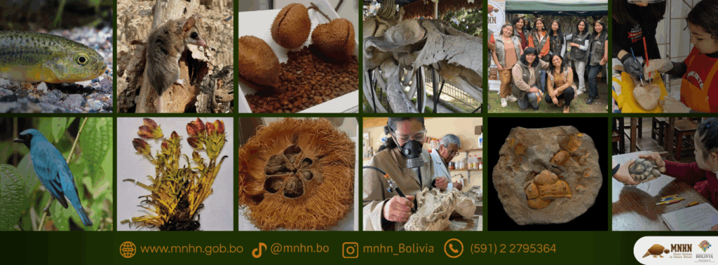 535436352_1287699096478522_1304665961740625690_n