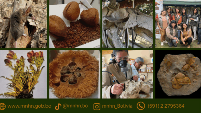 535436352_1287699096478522_1304665961740625690_n