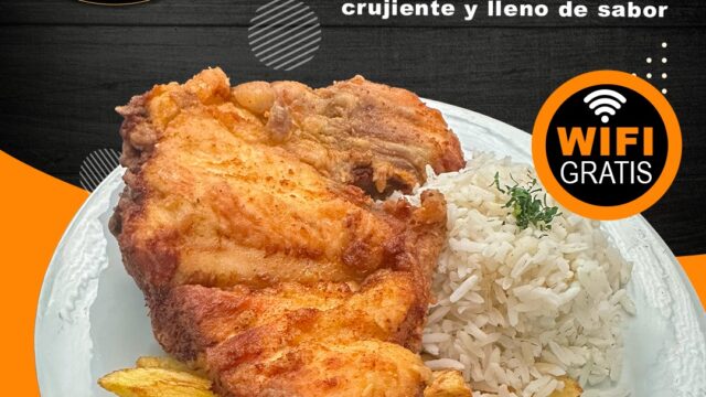 536268503_1394071419393565_5151028462689056847_n