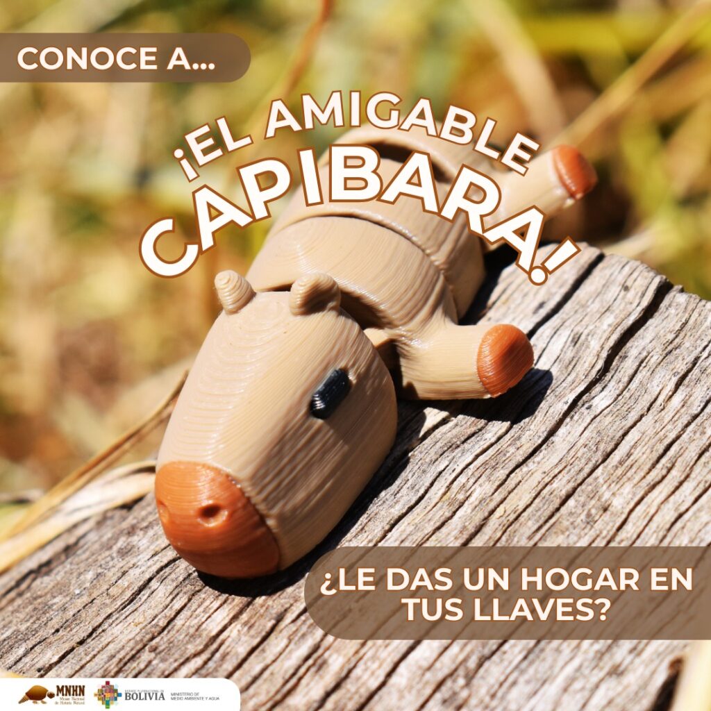 536283672_1286079219973843_3073044292651779640_n