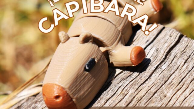 536283672_1286079219973843_3073044292651779640_n