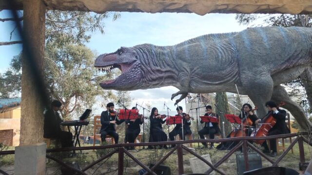 537095200_1540359730473669_689808212811043832_n