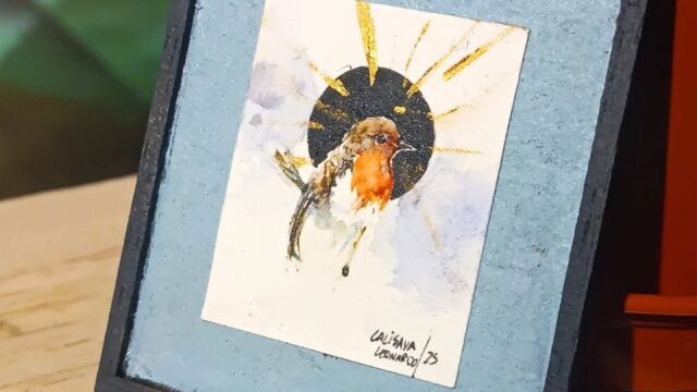 542471962_18323332486238448_3513827964470680697_n