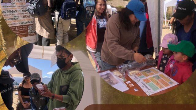 545157242_1303803131534785_820378402977655778_n