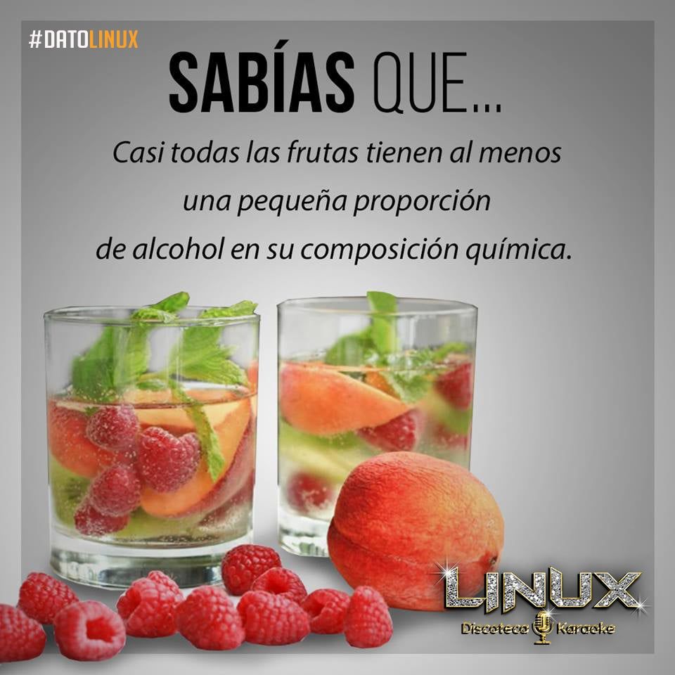 545598810_1367923248675560_8842747456323055569_n