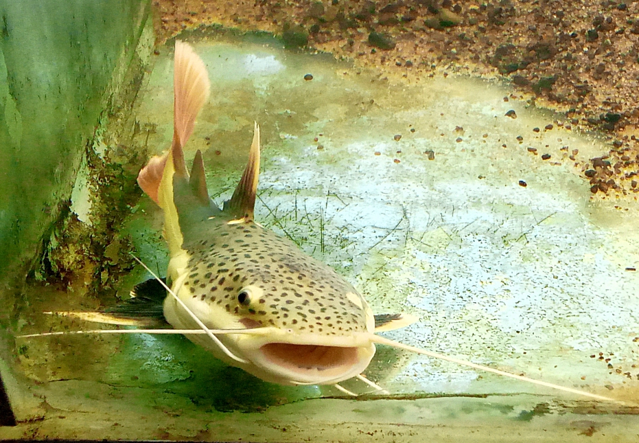 545622131_768232049332493_9127365817779747530_n