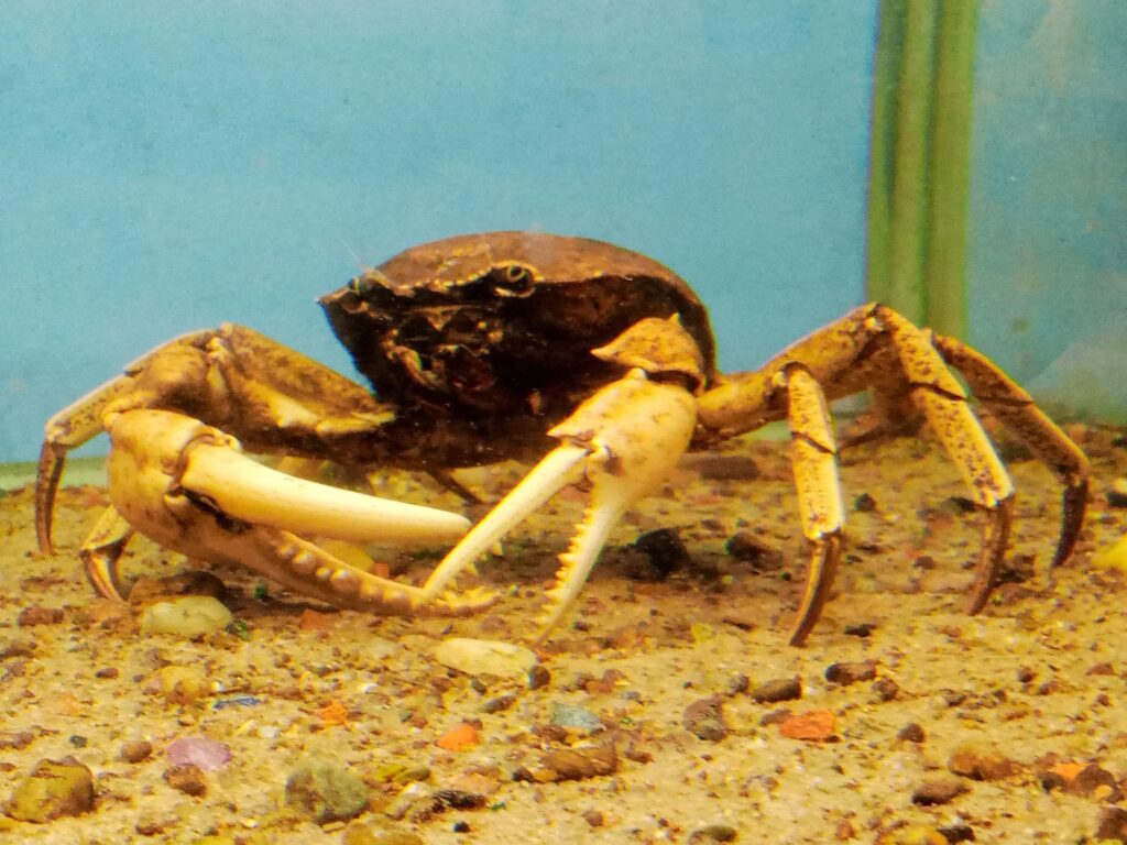 547184418_768231765999188_6454113134681000070_n