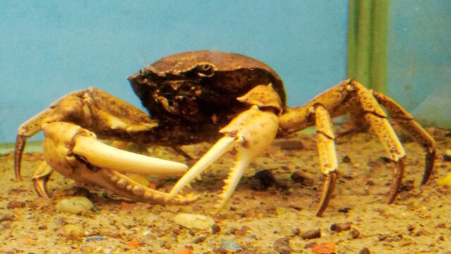 547184418_768231765999188_6454113134681000070_n