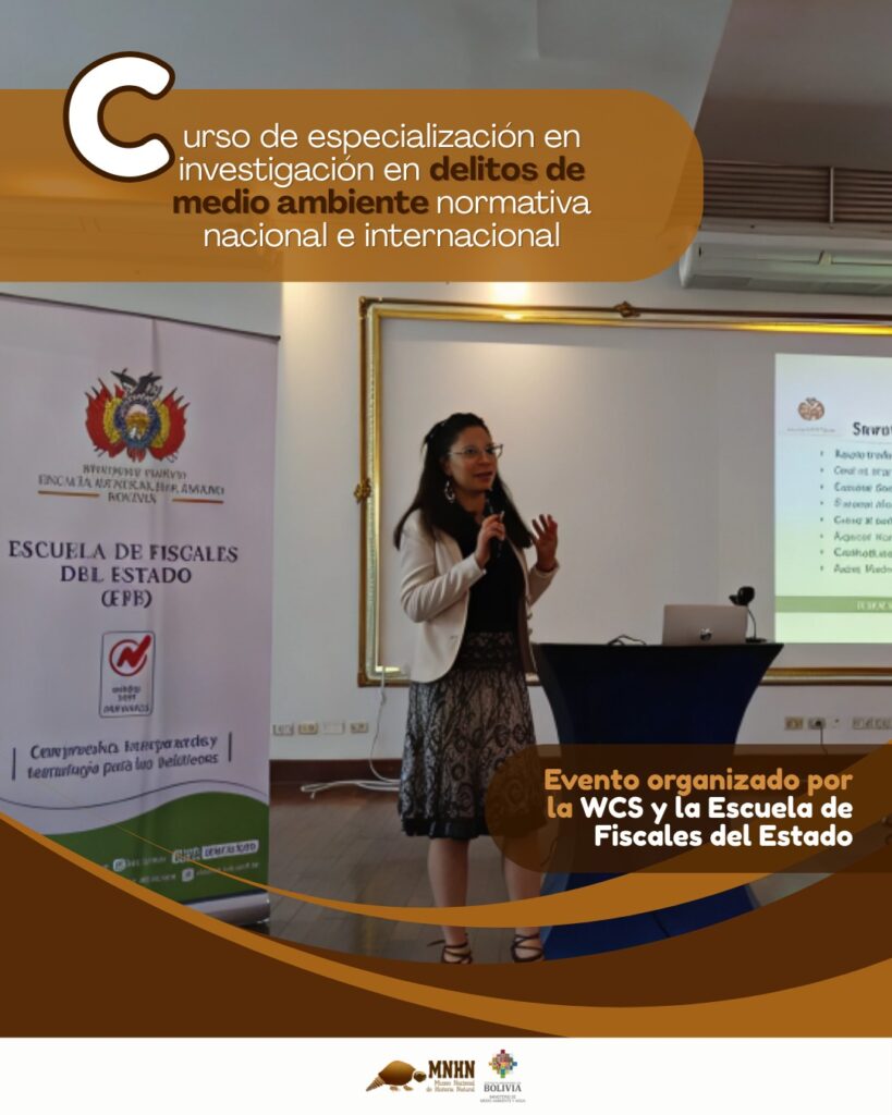 547236289_1308904367691328_1286033442973768659_n