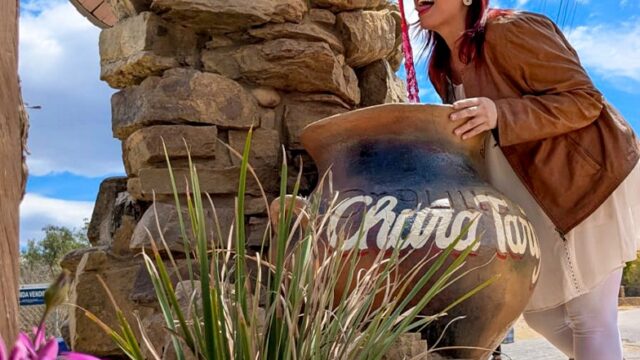 548208068_803905762160265_3346889311194072310_n