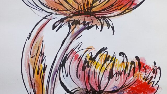 548313170_1238045515030590_297008144187349528_n