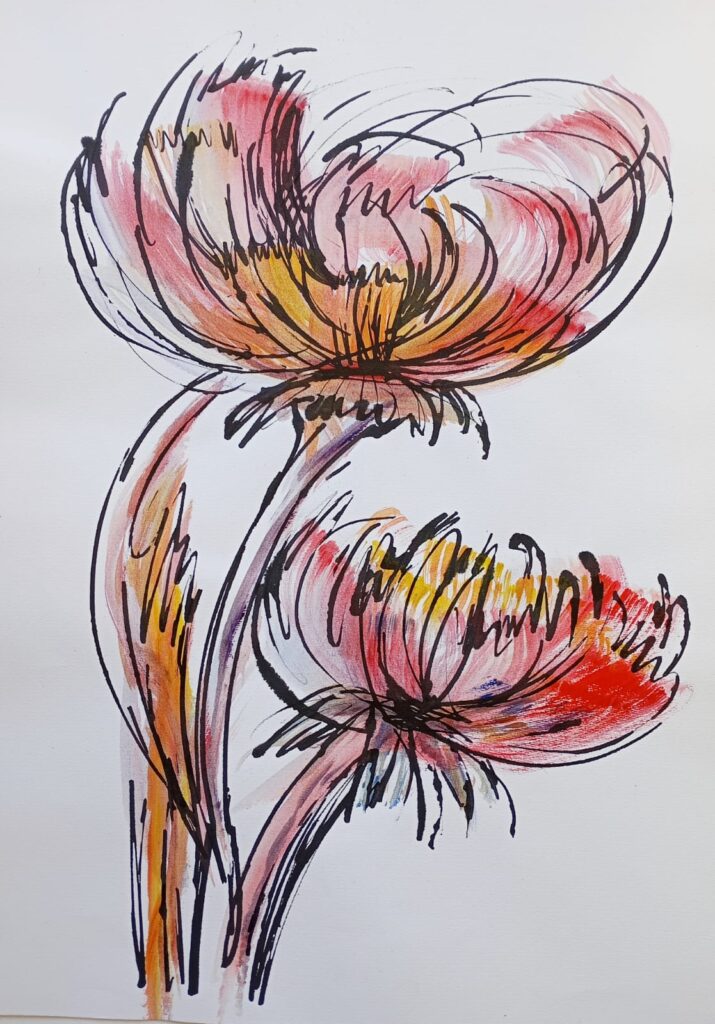 548313170_1238045515030590_297008144187349528_n