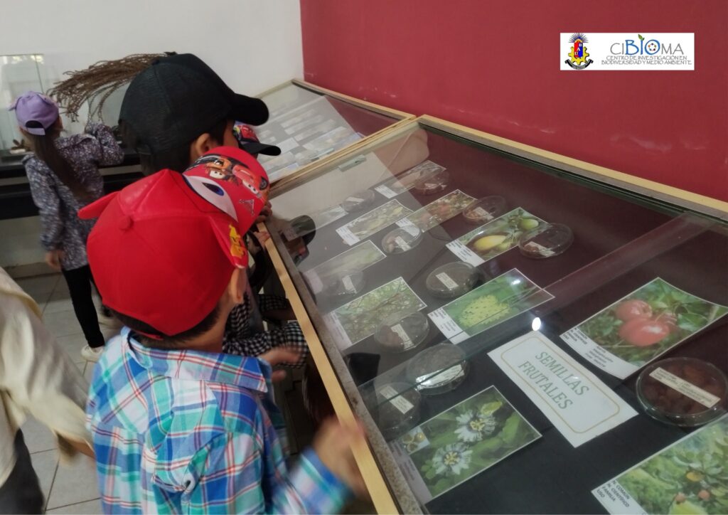 549189973_1378630967598046_9144232015341140834_n