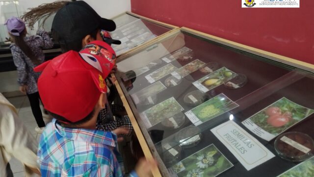 549189973_1378630967598046_9144232015341140834_n