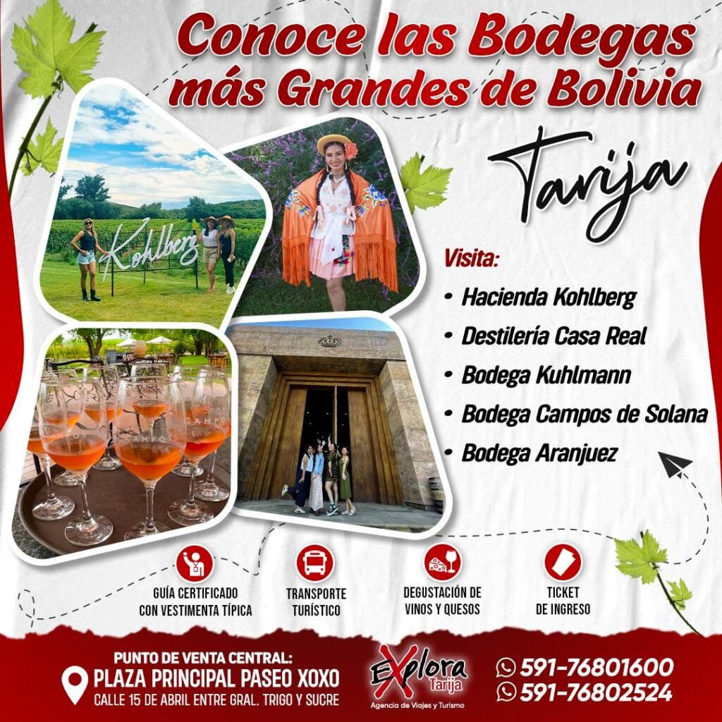 549229288_807096935174481_9067860010259799101_n