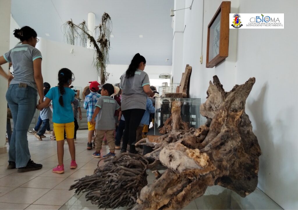 549825995_1378629927598150_3881303616577563009_n