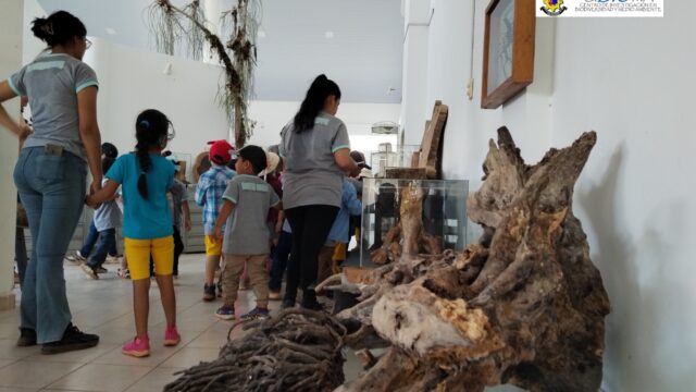 549825995_1378629927598150_3881303616577563009_n