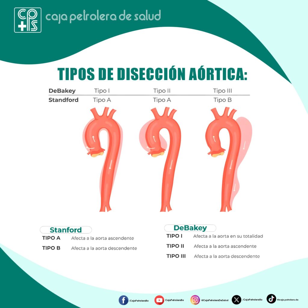 550225079_1265660095601382_2990972135407343425_n