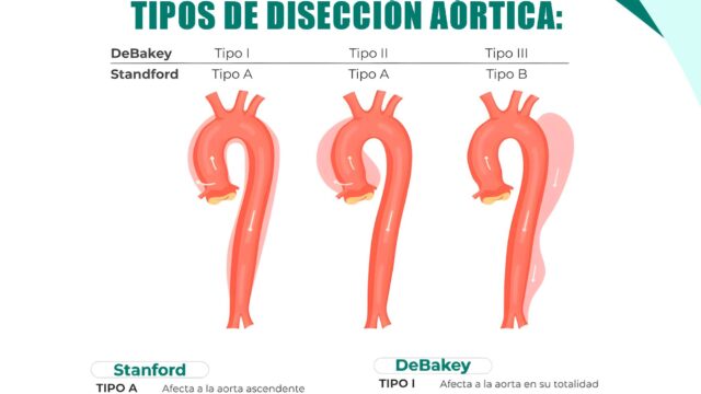 550225079_1265660095601382_2990972135407343425_n
