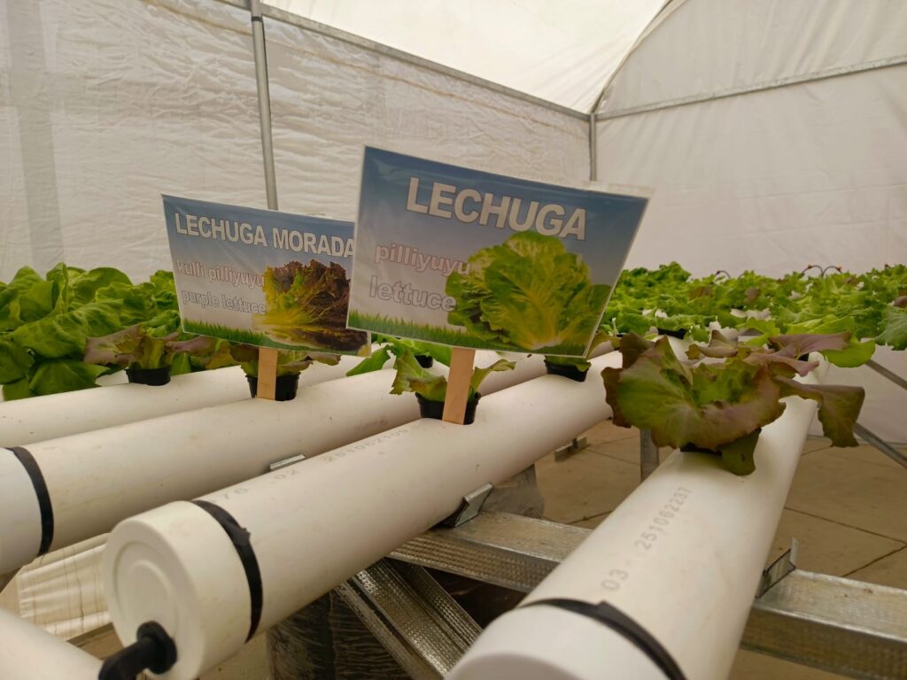 554844516_1402031471922699_7319029215669637262_n