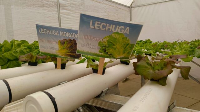 554844516_1402031471922699_7319029215669637262_n